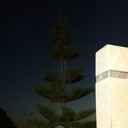 ���������� �����, ���� ������� ������, 48 ���, ������������ ��� ������, ����� � ���������, c�������� ���������, ���������