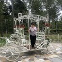  ,   , 51 ,     , c , 