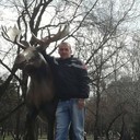  ,   , 44 ,   ,   , c , 