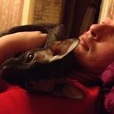 ���������� ������, ���� ������� Anton, 49 ���, ������������ 