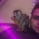 ���������� ���������, ���� ����� �������, 25 ���, ������������ ��� ������, ����� � ���������