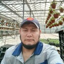  -,   , 41 ,   ,   