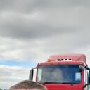  ,   , 56 ,   ,   