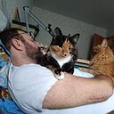  ,   , 50 ,   ,   