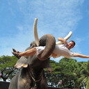 ���������� ���������, ���� ������� ����������, 50 ���, ������������ ��� ����� � ���������, c�������� ���������