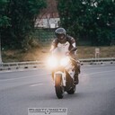 ���������� ������, ���� ������� ������, 38 ���, ������������ ��� ������, ����� � ���������