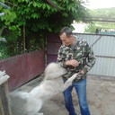 ���������� ���������, ���� ������� Vladimir, 63 ����, ������������ ��� ������, ����� � ���������, c�������� ���������