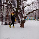 ���������� ������-��-����, ���� ������� �������, 48 ���, ������������ ��� ������, ����� � ���������