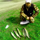  ,   , 36 ,   