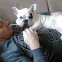 ���������� �����, ���� ������� ����, 48 ���, ������������ ��� ������