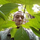 ���������� ������, ���� ������� �������, 40 ���, ������������ ��� ������, ����� � ���������, c�������� ���������, ���������