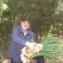  ,   , 61 ,   