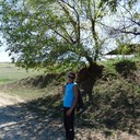  ,   , 37 ,   