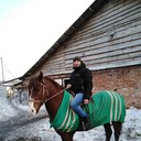 ���������� �����������, ���� ������� ����, 36 ���, ������������ ��� ������, ����� � ���������, c�������� ���������, ���������