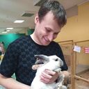 ���������� ������, ���� ������� ���������, 29 ���, ������������ ��� c�������� ���������