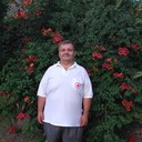  ,   , 53 ,   