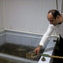  ,   , 44 ,   ,   , c , 