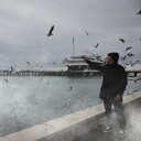 ���������� ��������, ���� ������� Ramaz, 26 ���, ������������ ��� ������, ����� � ���������