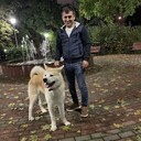 ���������� ������, ���� ������� ������, 37 ���, ������������ ��� ������