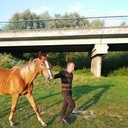 ���������� �����, ���� ������� ������, 35 ���, ������������ ��� ������, ����� � ���������, c�������� ���������, ���������