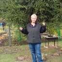 ���������� ������, ���� ������� ���, 75 ���, ������������ ��� ���������