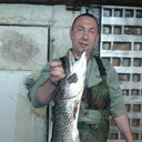 ���������� ������, ���� ������� �����, 49 ���, ������������ ��� c�������� ���������