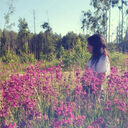  -,   , 31 ,   ,   , c 