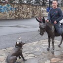 ���������� ������, ���� ������� Soslan, 46 ���, ������������ ��� ������, ����� � ���������, c�������� ���������, ���������