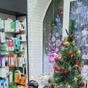 ���������� �����������, ���� ������� �����, 47 ���, ������������ ��� ������, ����� � ���������