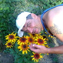  ,   , 51 ,   