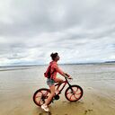 ���������� �����-���������, ���� ������� ����, 38 ���, ������������ ��� ������, ����� � ���������, c�������� ���������