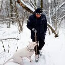 ���������� ������, ���� ������� �������, 39 ���, ������������ ��� ����� � ���������, c�������� ���������