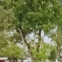 ���������� ���������, ���� ������� �����, 44 ����, ������������ ��� ������, ����� � ���������