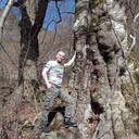  ,   , 37 ,   ,   , c , 