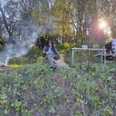 ���������� ������ ��������, ���� ������� �����, 46 ���, ������������ ��� ������, ����� � ���������