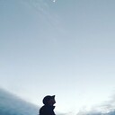 ���������� �����-���������, ���� ������� ����, 38 ���, ������������ ��� ������, ����� � ���������, c�������� ���������, ���������