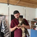 ���������� ���������, ���� ������� ������, 26 ���, ������������ ��� ������, ����� � ���������