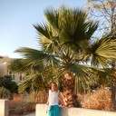 ���������� �����-���������, ���� ������� �������, 53 ����, ������������ ��� ������, ����� � ���������, c�������� ���������