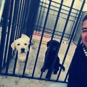 ���������� ���, ���� ������� �����, 34 ����, ������������ ��� ������, ����� � ���������