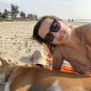 ���������� �����������, ���� ������� �����, 44 ����, ������������ ��� ����� � ���������, c�������� ���������