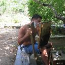 ���������� ����, ���� ������� ������, 36 ���, ������������ 