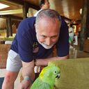 ���������� �������, ���� ������� Yabushige, 56 ���, ������������ ��� ������, ����� � ���������, c�������� ���������, ���������