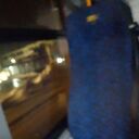 ���������� ������, ���� ������� �������, 42 ����, ������������ ��� ������, ����� � ���������