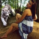 ���������� �������, ���� ������� ��������, 31 ���, ������������ ��� ����� � ���������, c�������� ���������