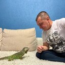  ,   , 51 ,     , c 