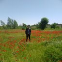  ,   Islom, 30 ,   ,   