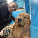 ���������� ���������, ���� ����� �����, 25 ���, ������������ ��� ������, ����� � ���������