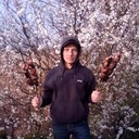 ���������� ���������, ���� ������� ����, 38 ���, ������������ 