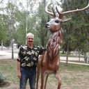  ,   , 60 ,  