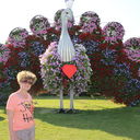 ���������� ���������, ���� ������� ���, 58 ���, ������������ ��� ������, ����� � ���������, c�������� ���������